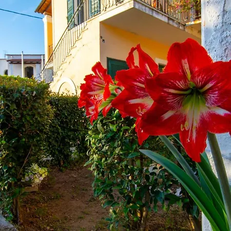 Classy & Traditional House With Fantastic View * Kanali (Corfu)